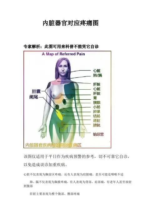 内脏器官对应疼痛图