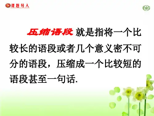 《高考新闻类语段压缩复习指导》优质课件(共41张)