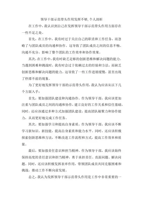 领导干部示范带头作用发挥不够,个人剖析
