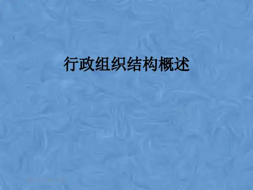 行政组织结构概述