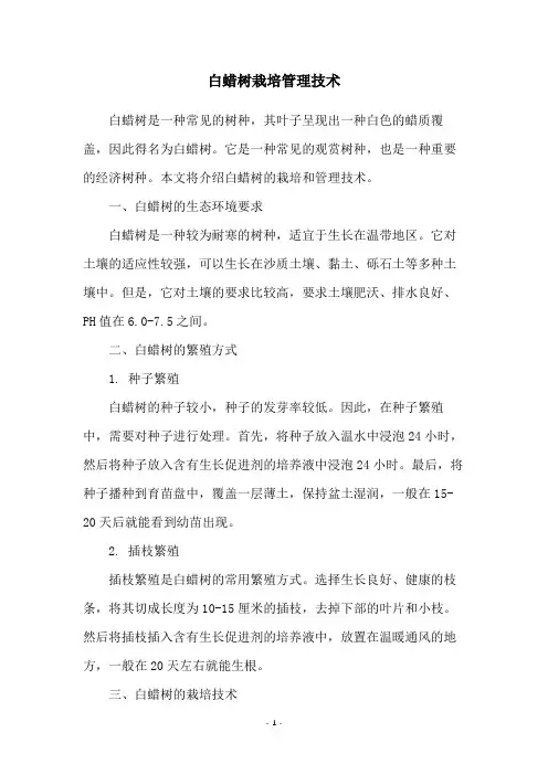 白蜡树栽培管理技术