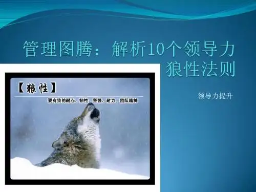 管理图腾：解析10个领导力