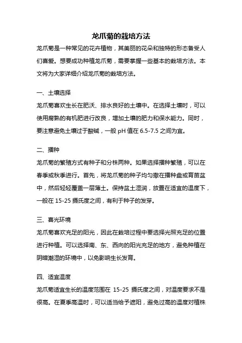 龙爪菊的栽培方法