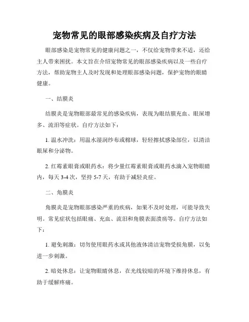 宠物常见的眼部感染疾病及自疗方法