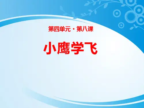《小鹰学飞》PPT【推荐课件】
