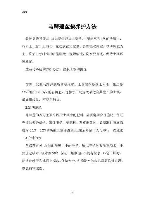 马蹄莲盆栽养护方法