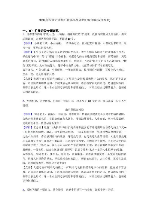2020高考语文试卷扩展语段题分类汇编含解析(含答案)