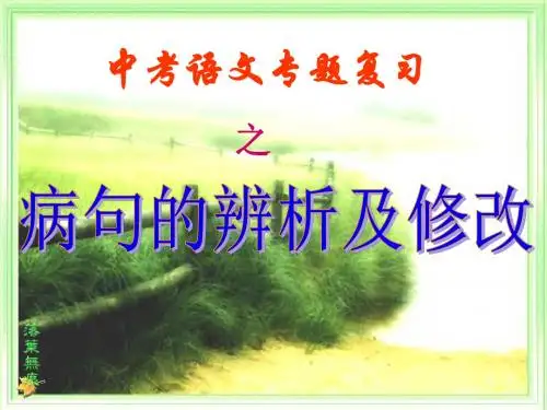 中考语文专题复习之病句的辨析及修改PPT优秀课件下载(43张)