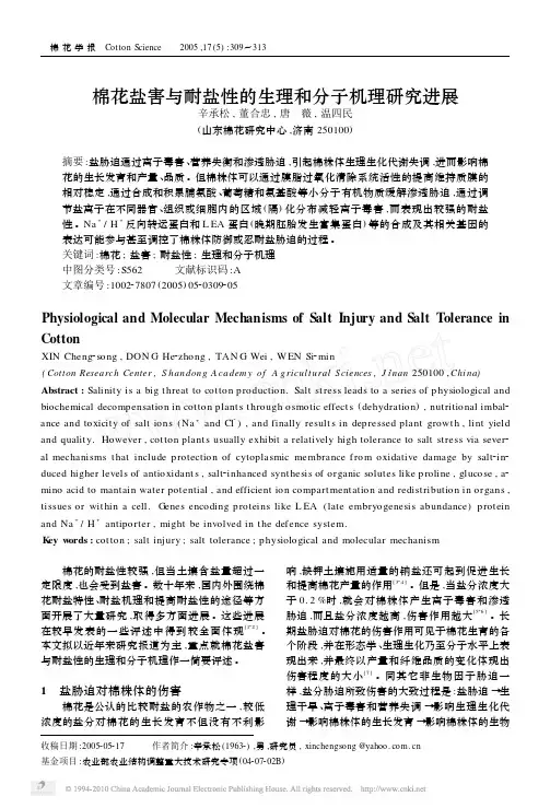棉花盐害与耐盐性的生理和分子机理研究进展_辛承松