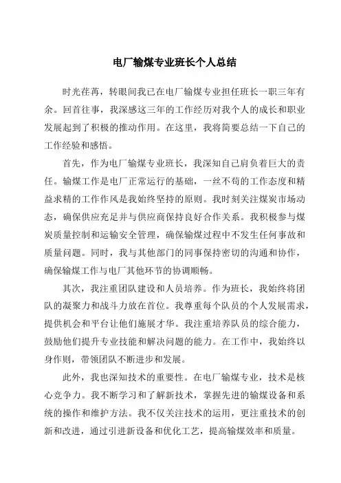 电厂输煤专业班长个人总结