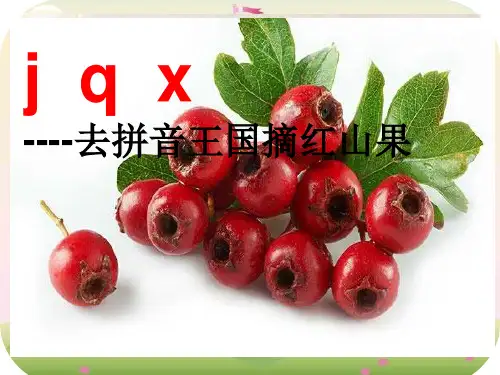一年级上.《jqx》部编版PPT