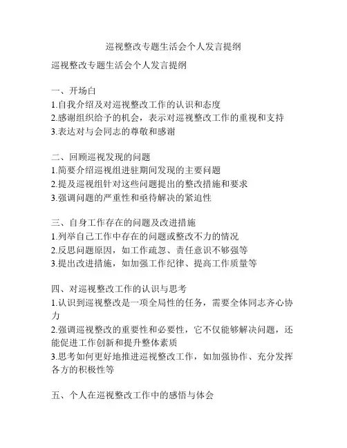 巡视整改专题生活会个人发言提纲