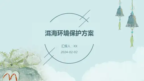 洱海环境保护方案