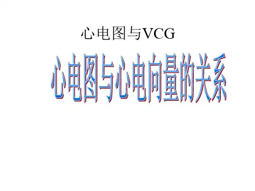 心电图与心电向量的关系