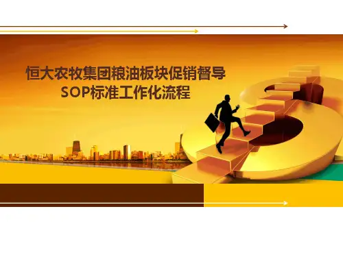 督导标准作业流程