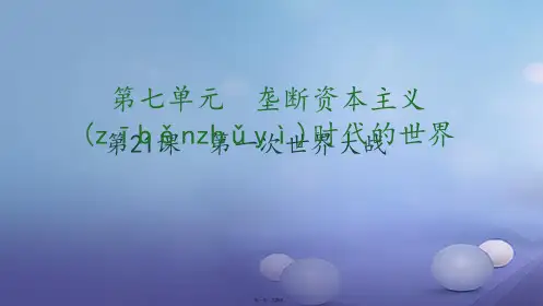 九年级历史上册第七单元垄断资本主义时代的世界第21课第一次世界大战习题课件新人教版
