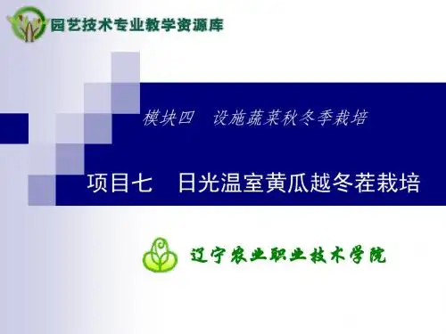 日光温室黄瓜越冬茬栽培-生物学特性