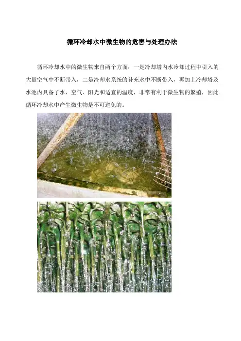 循环水中微生物的危害与处理办法