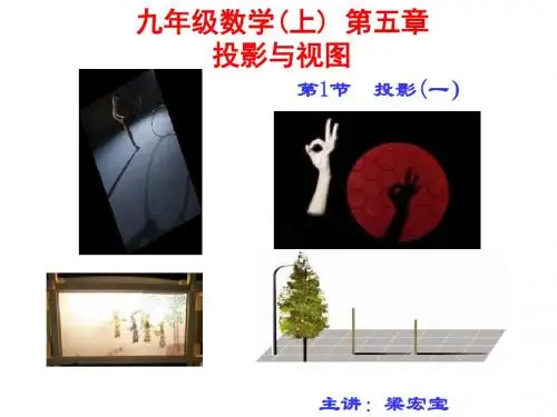 5.1.1九年级数学上册第五章第一节投影1中心投影-新北师大版
