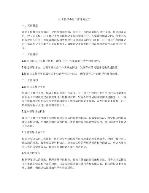 社工督导小组工作计划范文