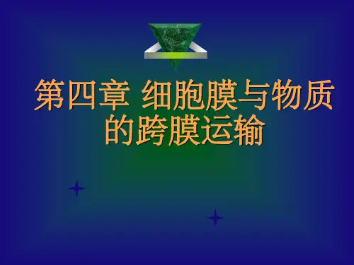 《细胞生物学细胞膜》PPT课件