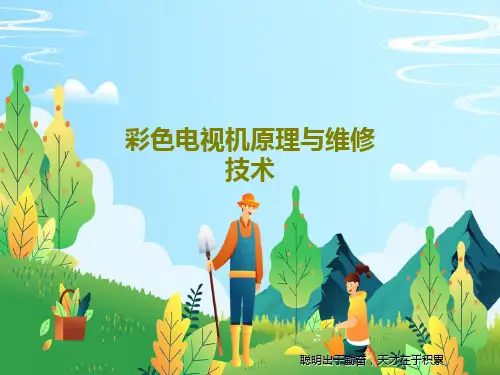 彩色电视机原理与维修技术共32页PPT