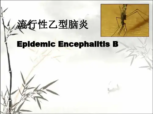 流行性乙型脑炎 PPT
