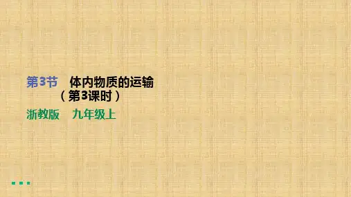 2022-2023学年浙教版科学九年级上册4