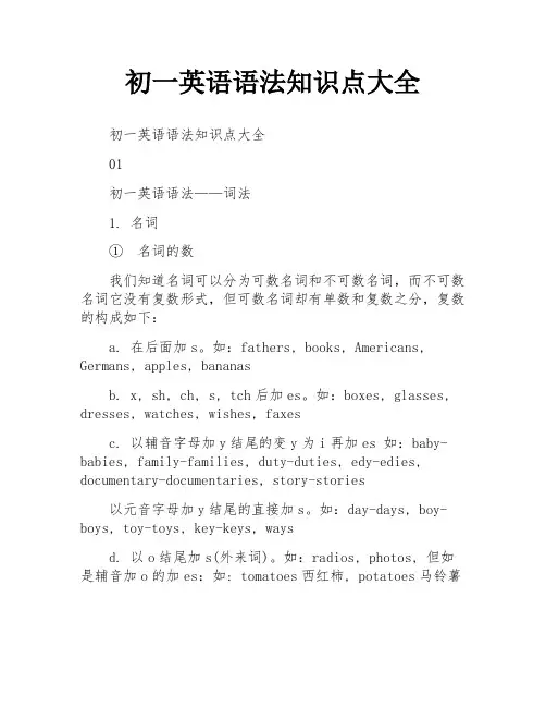 初一英语语法知识点大全