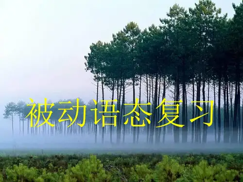 《英语被动语态复习》PPT课件