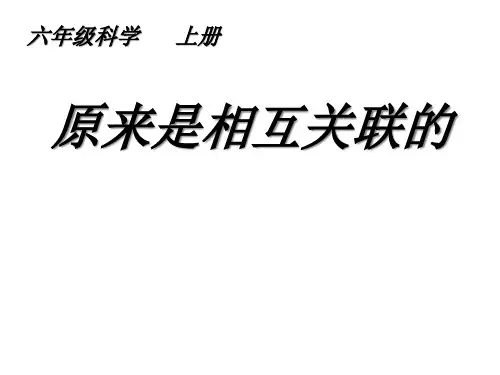 六年级上册科学课件 原来是相互关联的教科版 (共31页)PPT