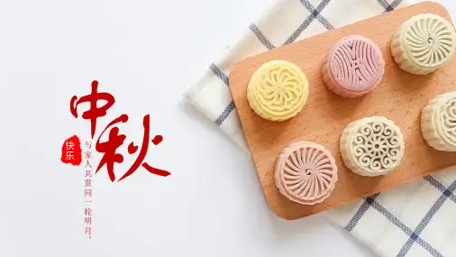 创意简约中秋月饼营销策划书PPT模板课件