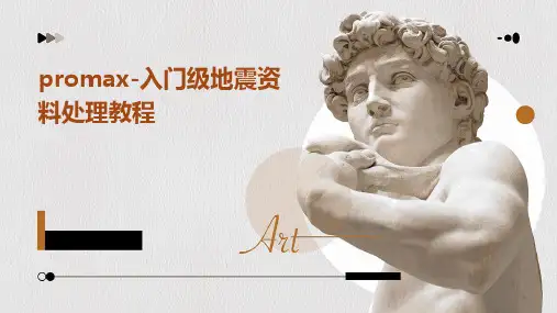 PROMAX-入门级地震资料处理教程