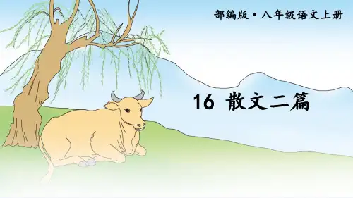 人教版部编语文八年级上册第16课《散文二篇》课件 (共49张PPT)