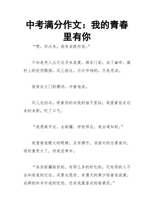 中考满分作文：我的青春里有你