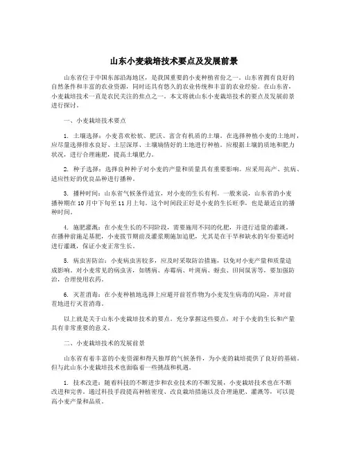 山东小麦栽培技术要点及发展前景