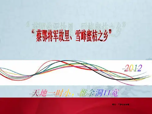 洞口群星演唱会方案ppt课件