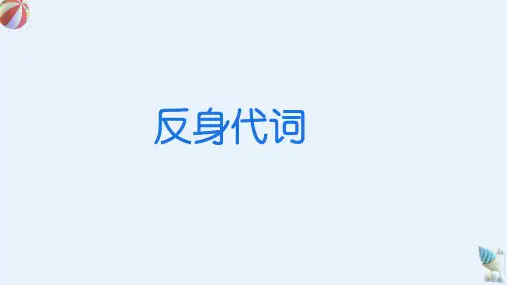 23年中考代词专项-反身代词