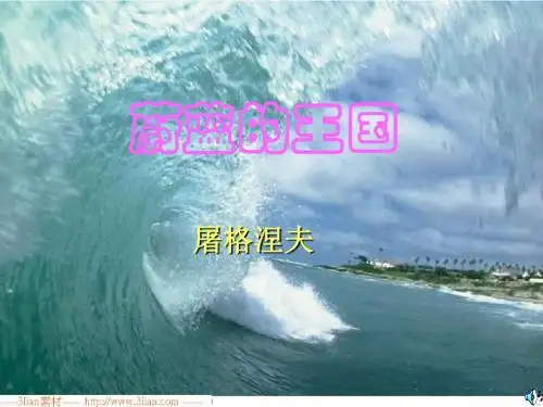 初中语文《蔚蓝的王国》(共12张)ppt17