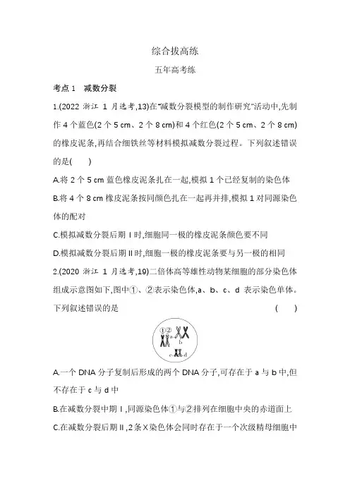 浙科版高中生物必修2第二章染色体与遗传综合拔高练含答案
