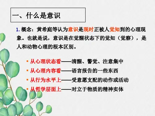 意识和注意