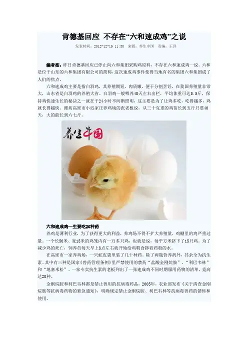 六和速成鸡