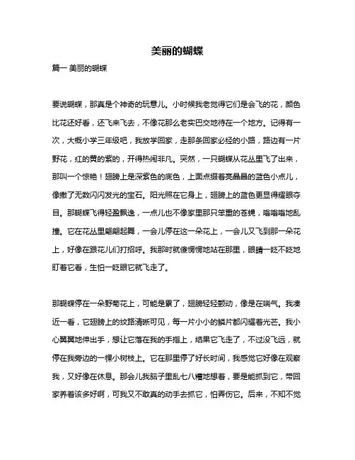 作文《美丽的蝴蝶》
