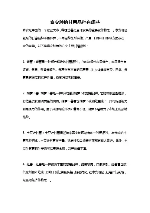 泰安种植甘薯品种有哪些