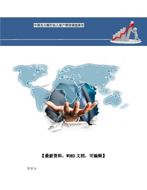 中国光大银行法人客户授信调查报告
