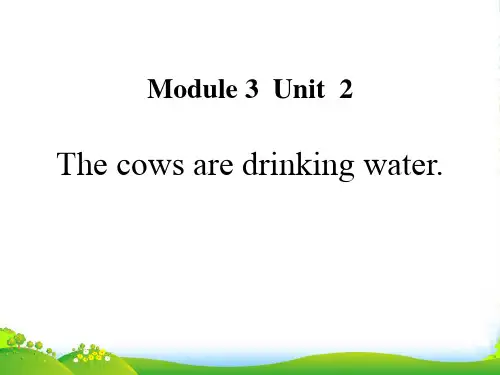 新版英语2The cows are drinking water-课件