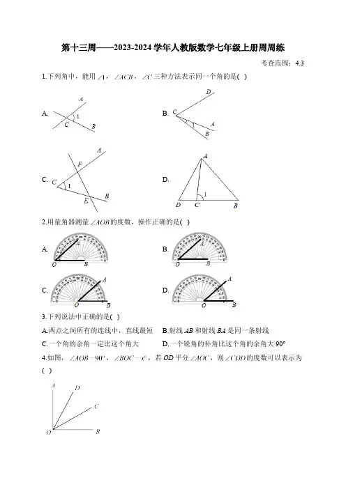 第13周——2023-2024学年人教版数学七年级上册周周练(含答案)