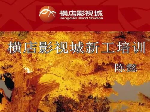 培训：横店集团概况