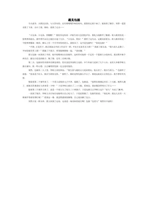 五年级想象作文《遇见包拯》