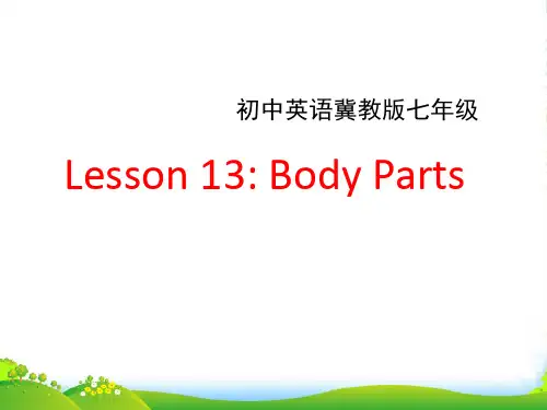 冀教七年级英语上册 Unit 3 Lesson 13 课件(共15张PPT)